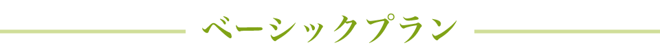 ベーシックプラン